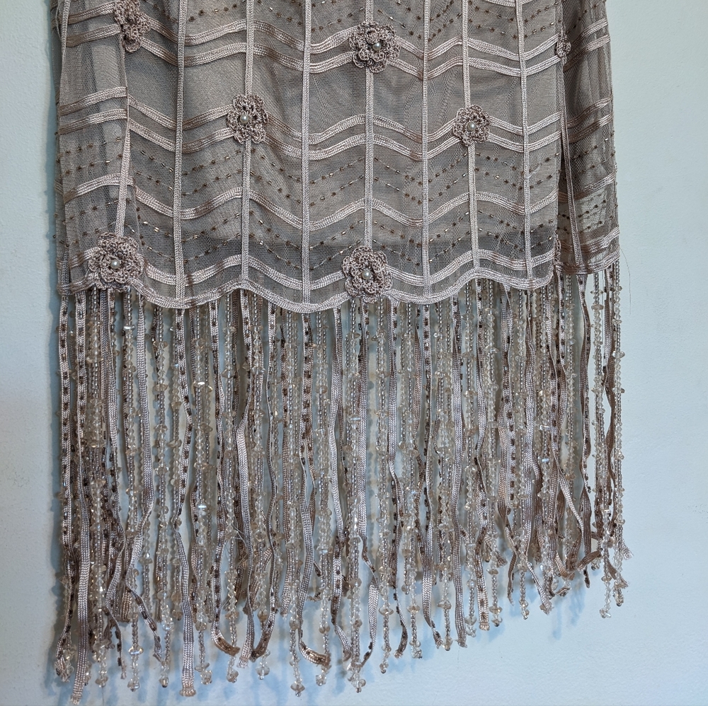 Vintage Sue Wong Gatsby 1920's Flapper Beaded Dress in Nude Size 2 - Picture 4 of 8
